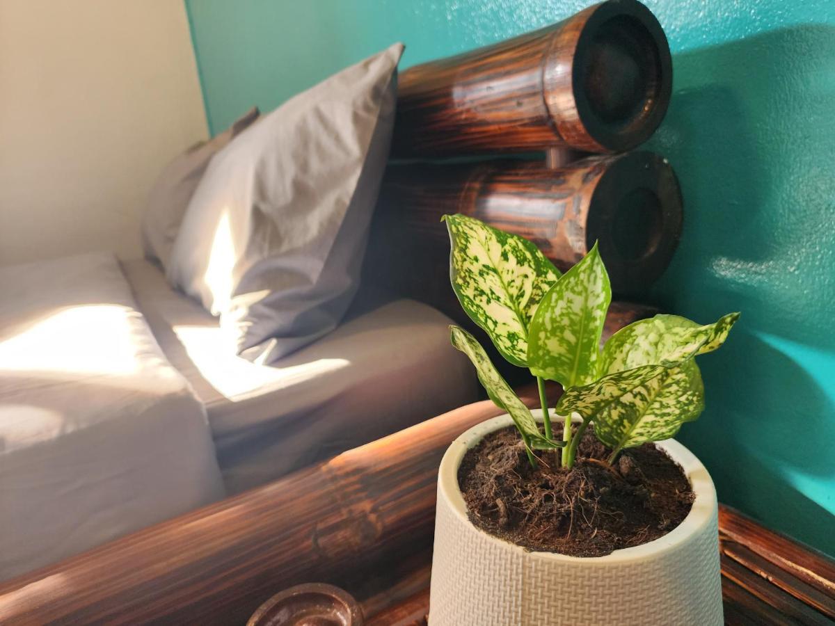 Blue Moon House - A Budget Hostel For Easy Travellers Τσιάνγκ Μάι Εξωτερικό φωτογραφία
